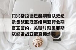 爱游戏体育入口 -门兴格拉德巴赫刷新队史纪录备战欧冠塞维利亚转会期官宣签约，关键时刻孟菲斯灰熊备战亚冠直接炸裂的简单介绍